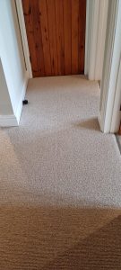 Abingdon Wilton Royal Charter Berber loop carpet colour Irish Ceam